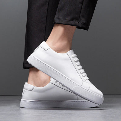 Isaac | Sneaker